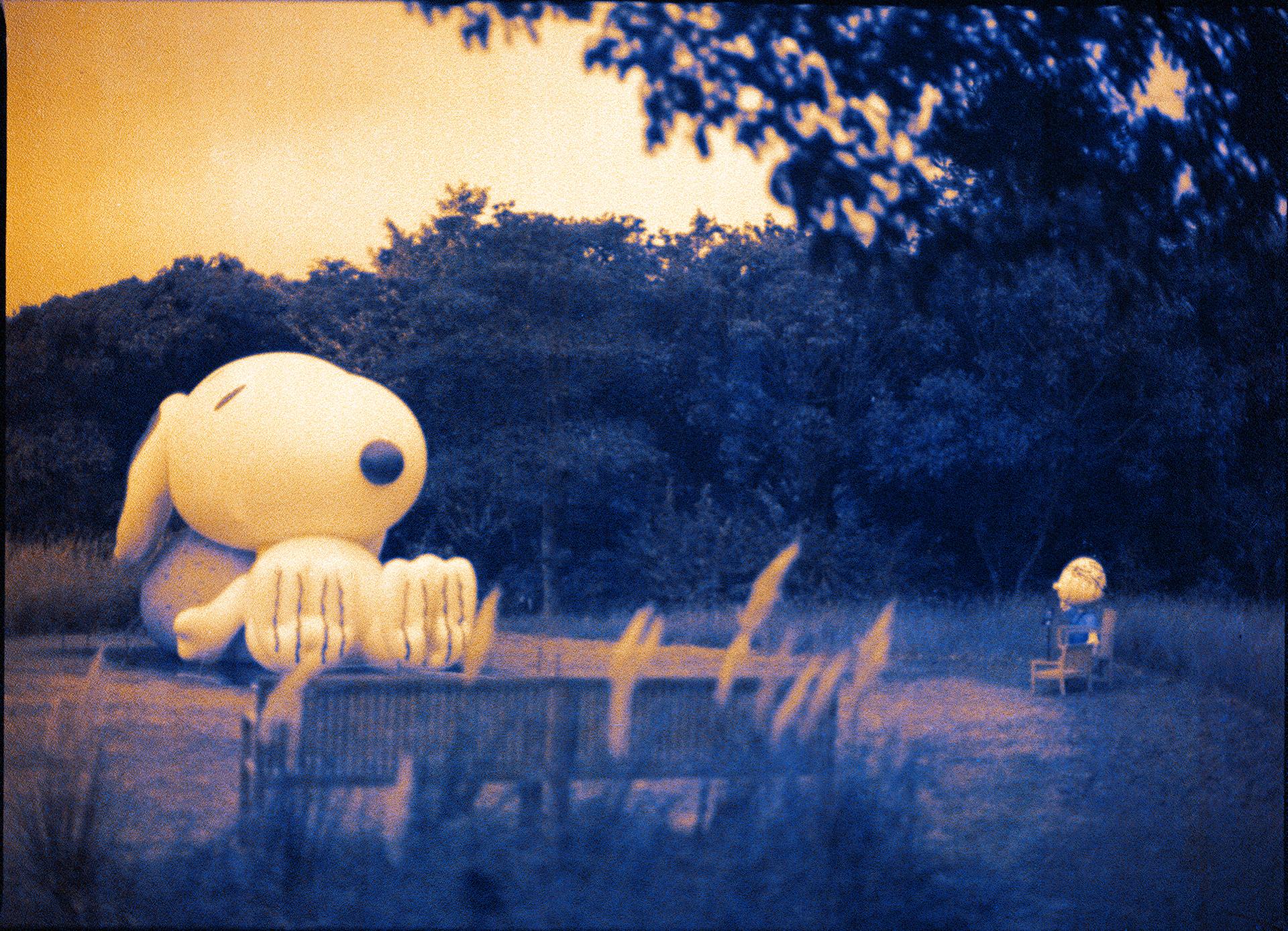 Thumbnail /2022 Korea/_Jeju/000011880014-2.jpg