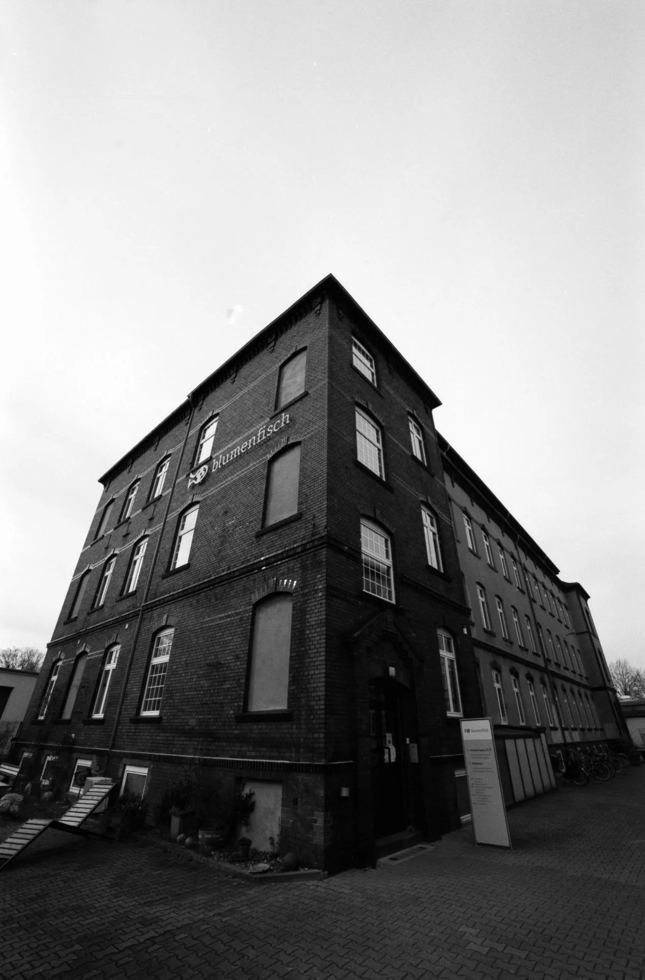 Thumbnail /2022 Berlin/Blumenfisch Wide.jpg