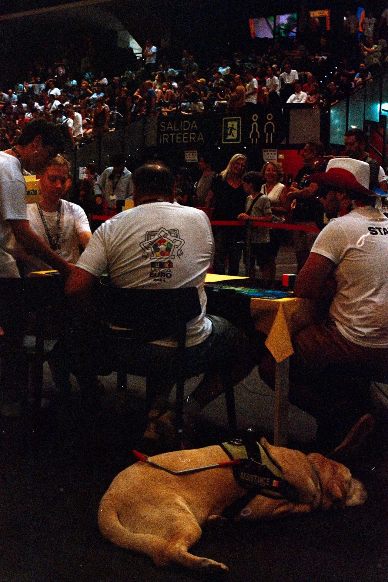Thumbnail /2024 Comps/Euro 2024/Fuji400_F4_spain_29.jpg