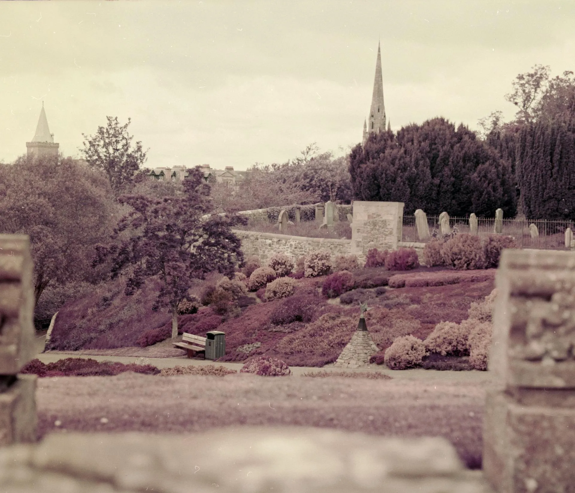 Thumbnail /2022 Schottland/Purpke Perth.jpg