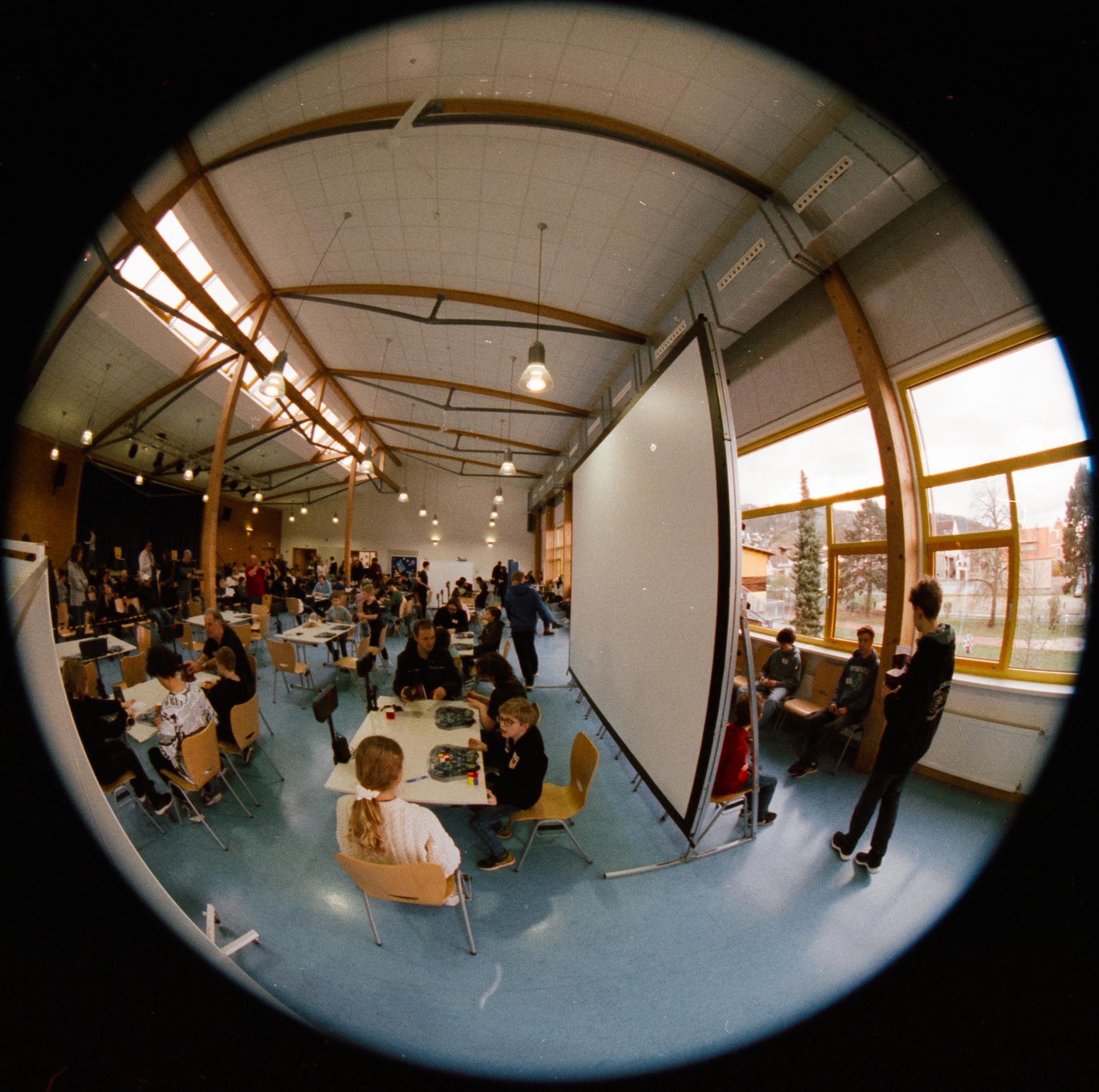 Thumbnail /2024 Comps/Rhein Neckar Beginners 2024/comp_roundie_2-positive.jpg