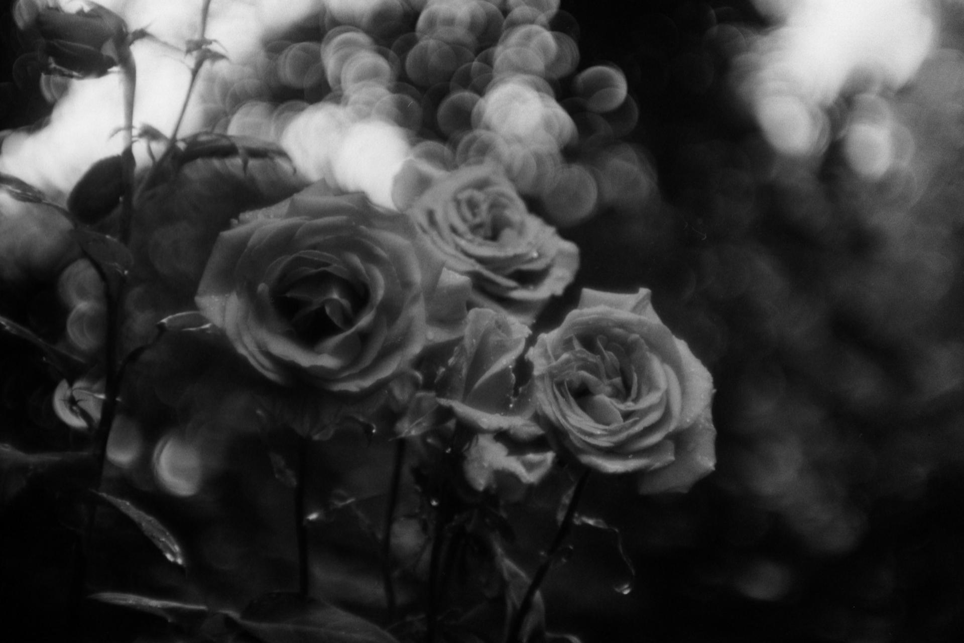 Thumbnail /2024 Berlin/eos_exproundies_bwxxl800_6.jpg