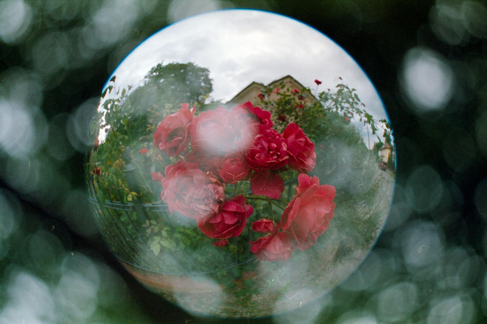 Thumbnail /2024 Berlin/fuji_canon_helios_19.jpg