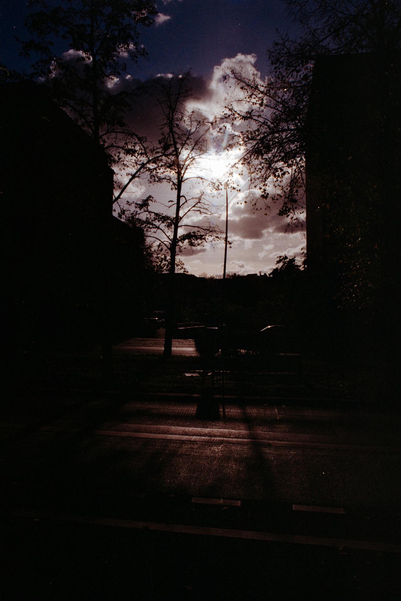 Thumbnail /2024 Berlin/nF1_Gold_6.jpg