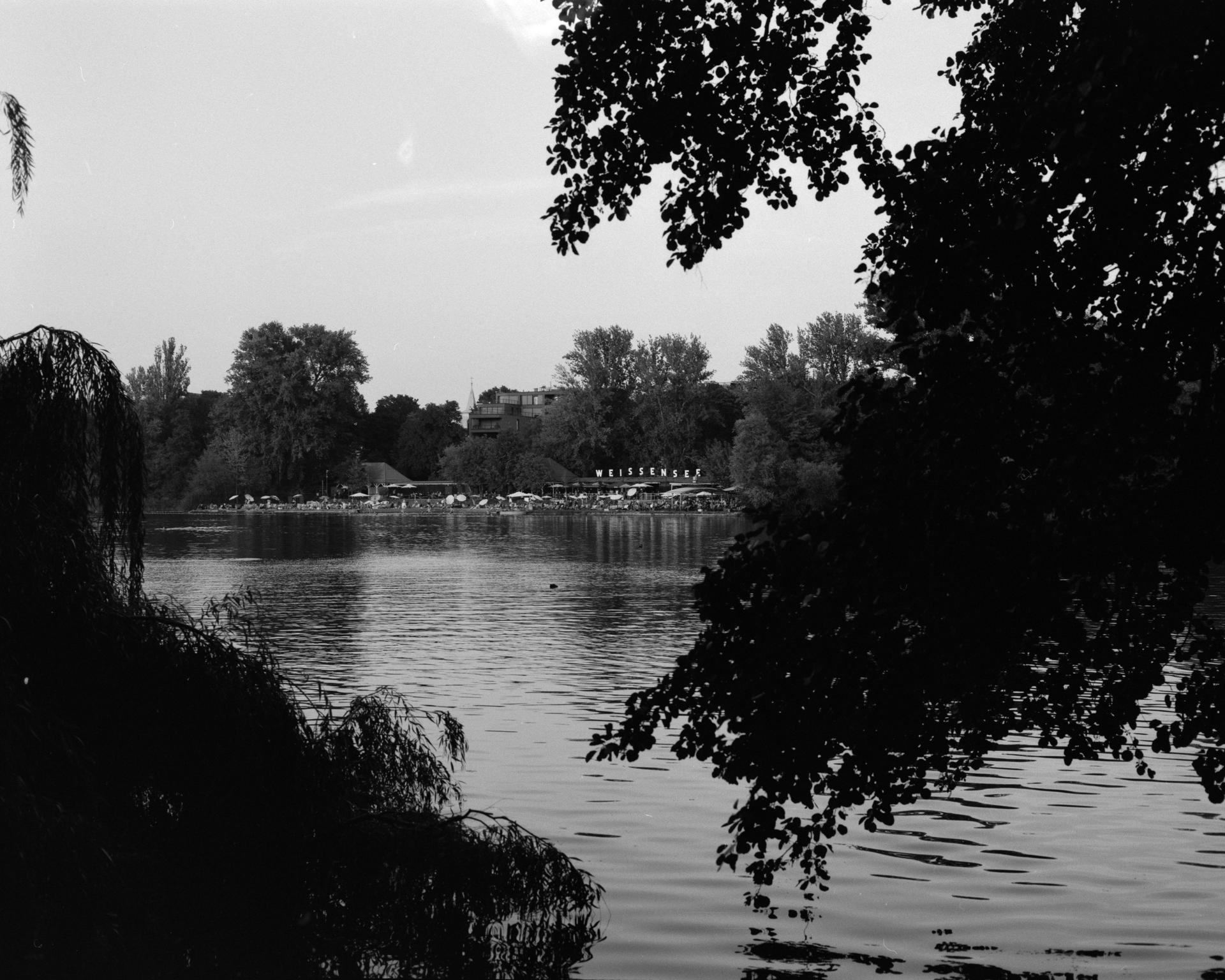 Thumbnail /2024 USA/Tewksbury/pentax_120kentmere_1.jpg
