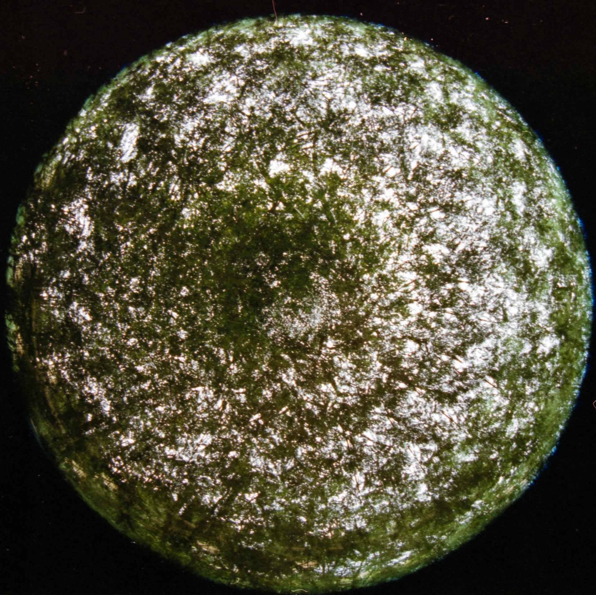 Thumbnail /2024 Berlin/roundies_exp_250d_16-positive.jpg